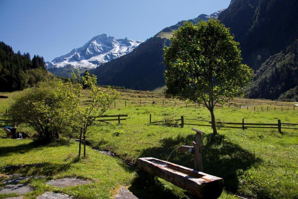Neuhaushof Lejlighed Hollersbach im Pinzgau Eksteriør billede