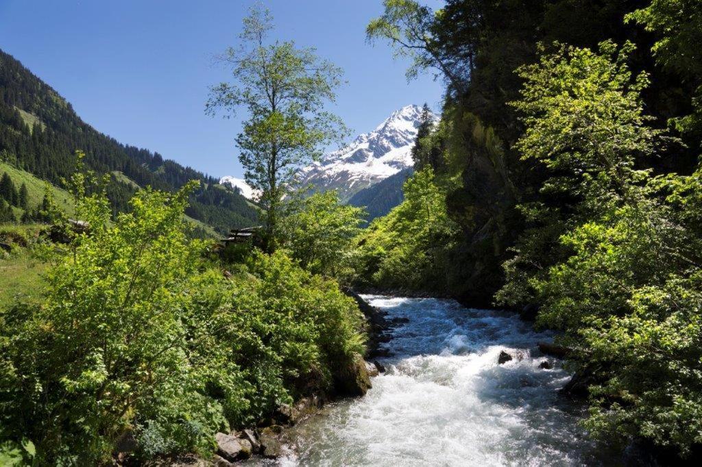 Neuhaushof Lejlighed Hollersbach im Pinzgau Eksteriør billede