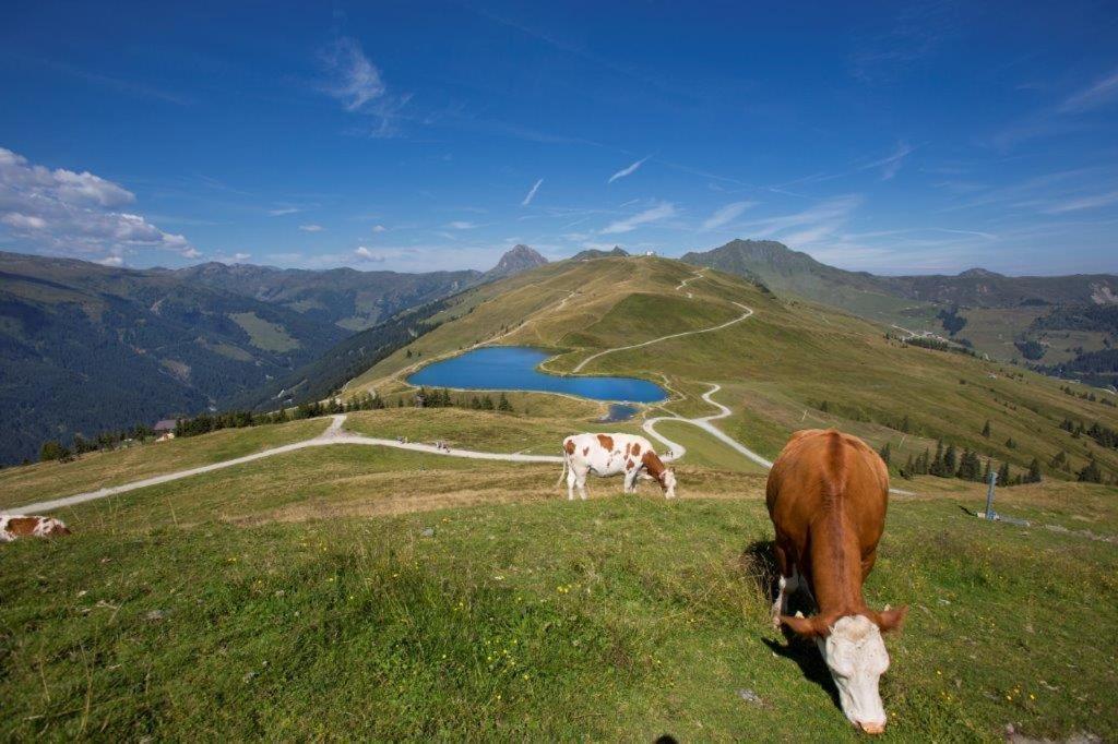 Neuhaushof Lejlighed Hollersbach im Pinzgau Eksteriør billede